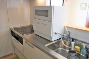 2505464_s